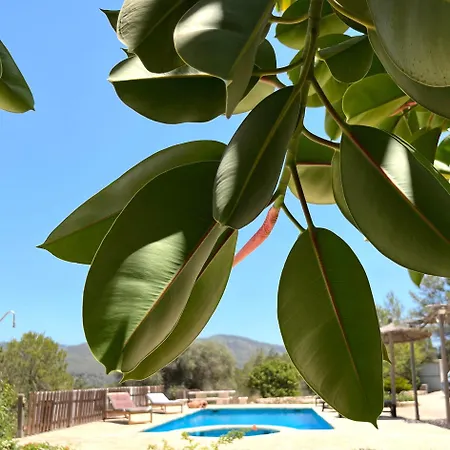 Villa Can Mestreso Suite Ibiza Sant Joan De Labritja Exterior foto